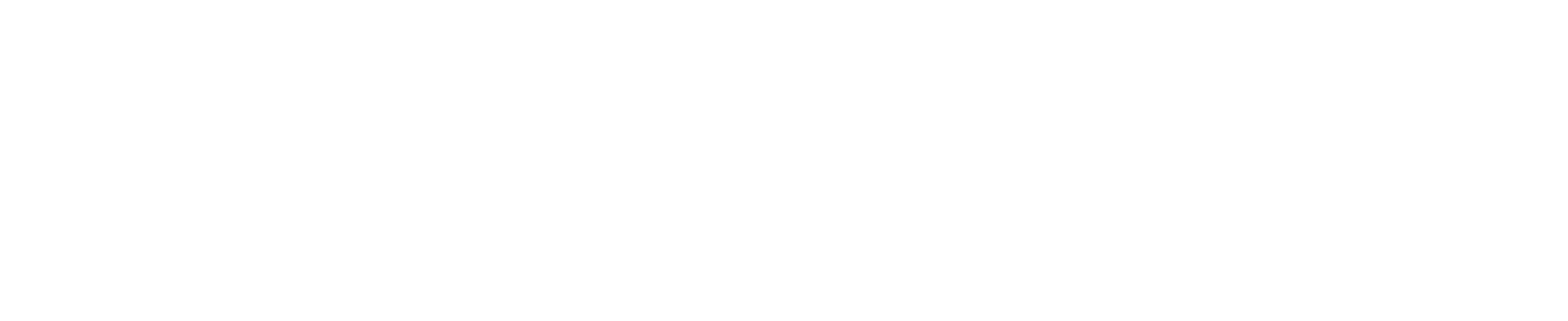 粵港澳大灣區慈善基金